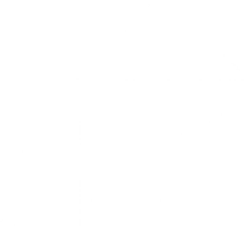 ����� �����������