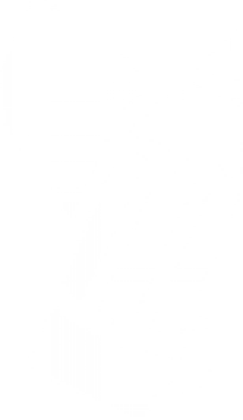 ���� ���������